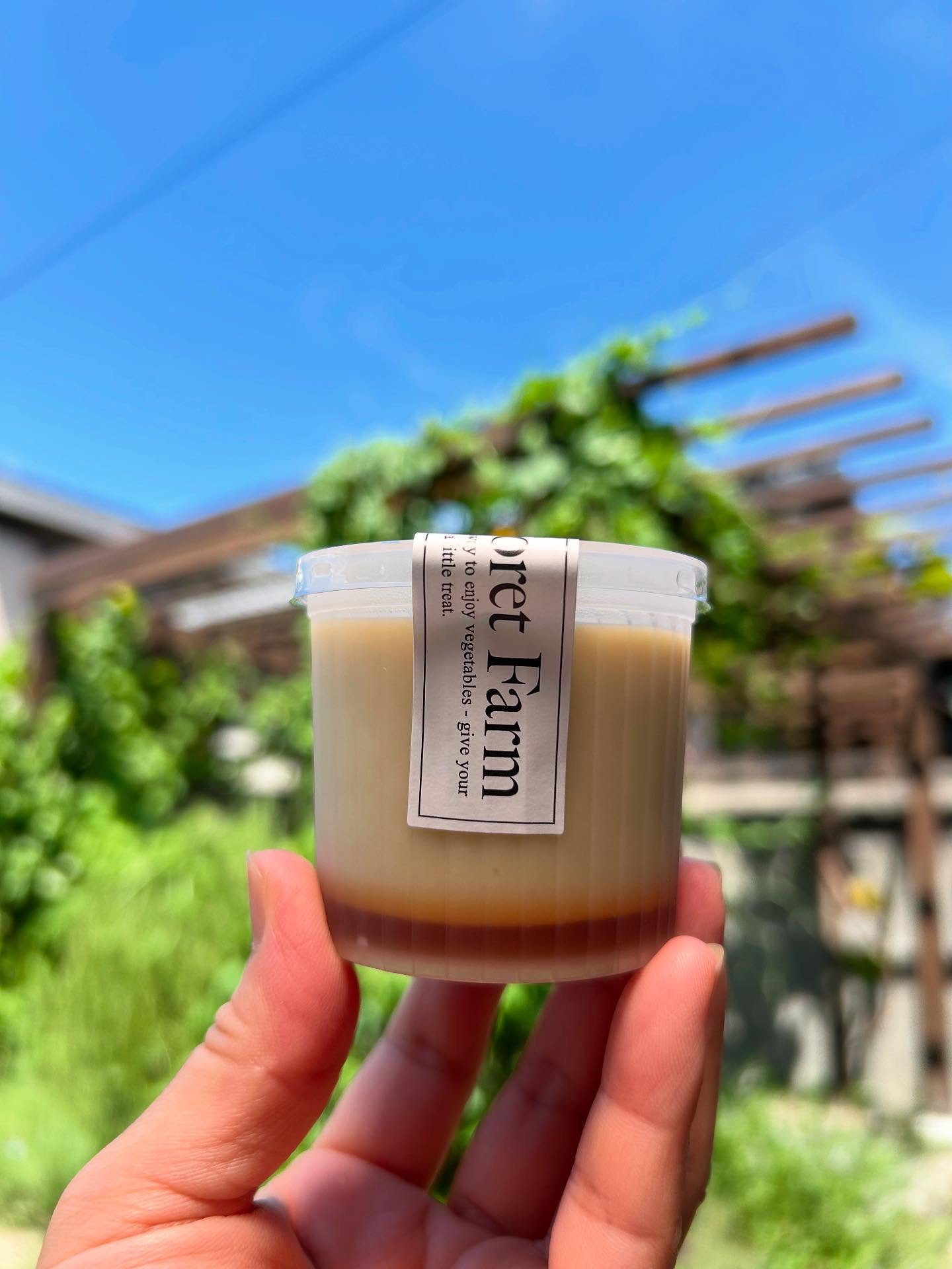 本日、岡山市南区の @vetta1224 さんに
「さつまいもプリン」をお届けしました🍠🍮

卵・乳製品・小麦・白砂糖不使用。
ヴィーガン＆グルテンフリー仕様、
安心素材で体にやさしく仕上げています。

主成分は、なんと 約6〜7割がサツマイモと甘酒。
素材の甘みをいかした自然な美味しさです。

🍠さつまいも … 食物繊維とビタミンCが豊富で、
腸内環境を整えたり、美肌づくりに。

🥛甘酒 … 「飲む点滴」と呼ばれるほど栄養満点。
アミノ酸やビタミンB群が含まれ、
疲労回復・夏バテ防止に。

暑さで食欲が落ちやすいこの時期にも、
するんと食べやすいひんやりスイーツです。
ぜひ、ティータイムのお供や自分へのご褒美にどうぞ☺️

#フォレットファーム #ForetFarm #岡山スイーツ #さつまいもスイーツ #ビーガンスイーツ #ヴィーガンスイーツ#グルテンフリースイーツ #卵乳製品不使用 #白砂糖不使用
#甘酒スイーツ #夏バテ予防 #美容と健康 #体に優しいおやつ #岡山カフェ#岡山テイクアウト #ナチュラルスイーツ