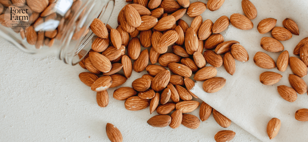アーモンド